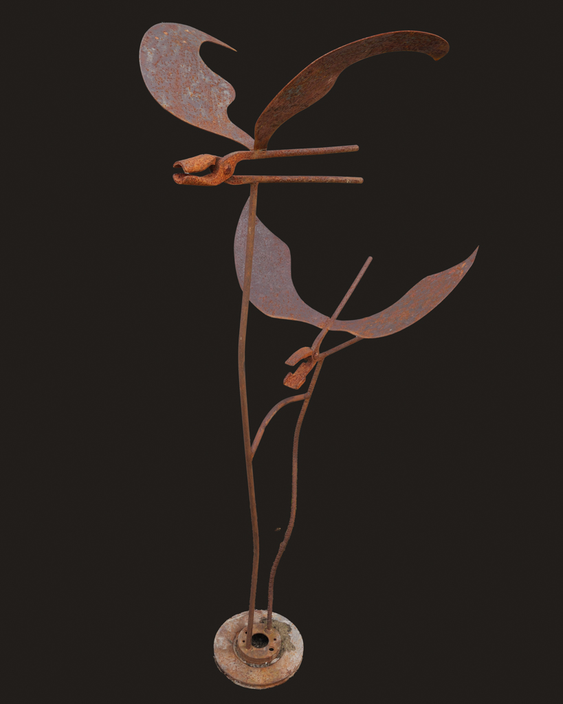 couple-oiseaux