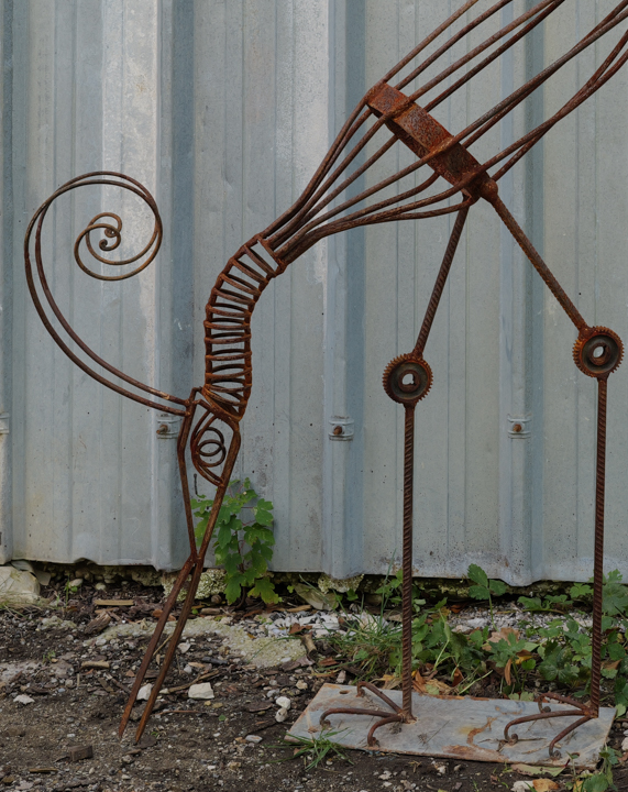 oiseau-spirale-1