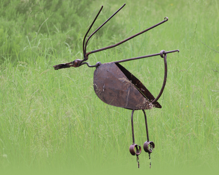oiseaux-huppe